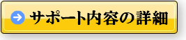 サポート詳細